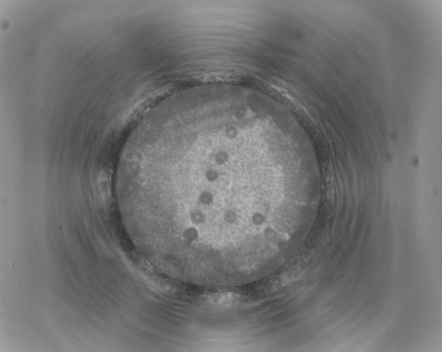 X0000078310695200611251534