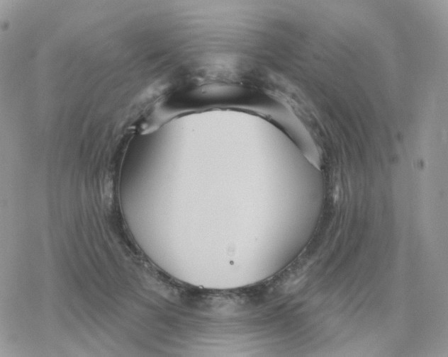 X0000078310697200611251534