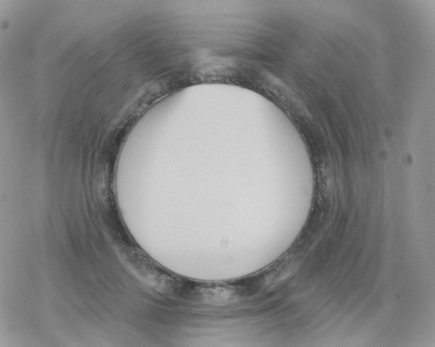 X0000078310698200611251534