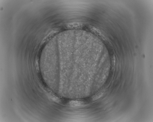 X0000078310699200611251534