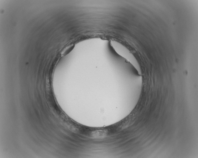 X0000078310700200611251534