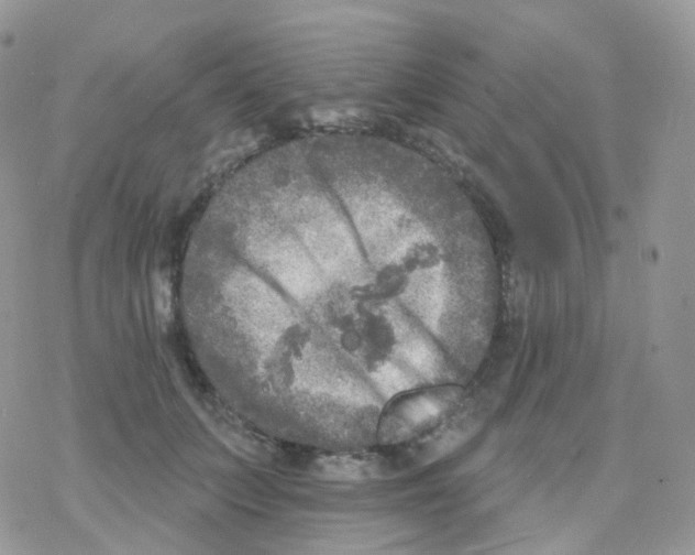 X0000078310703200611251533