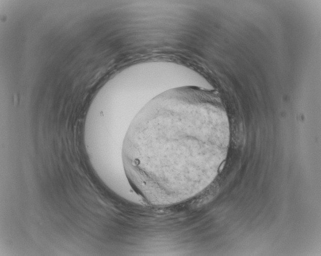 X0000078310704200611251533