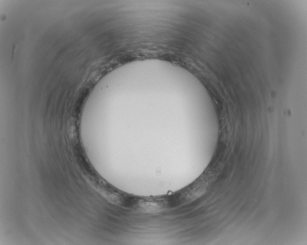 X0000078310706200611251533