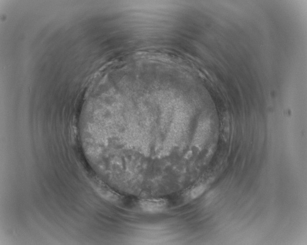 X0000078310707200611251533