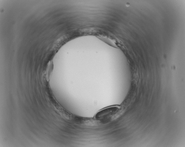 X0000078310708200611251533