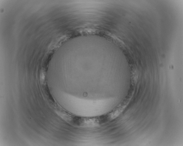 X0000078310709200611251533