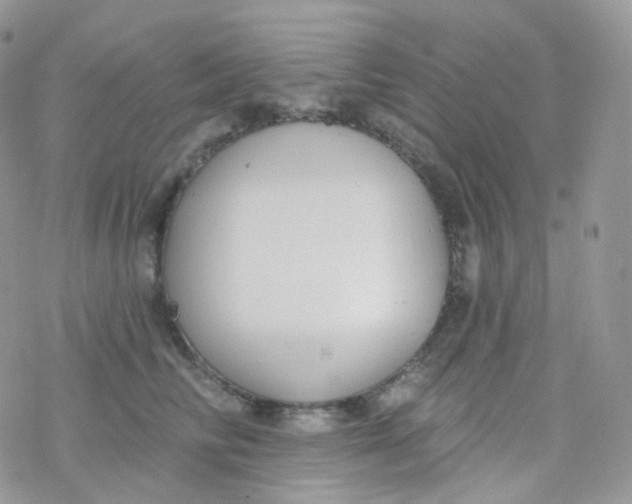 X0000078310710200611251533