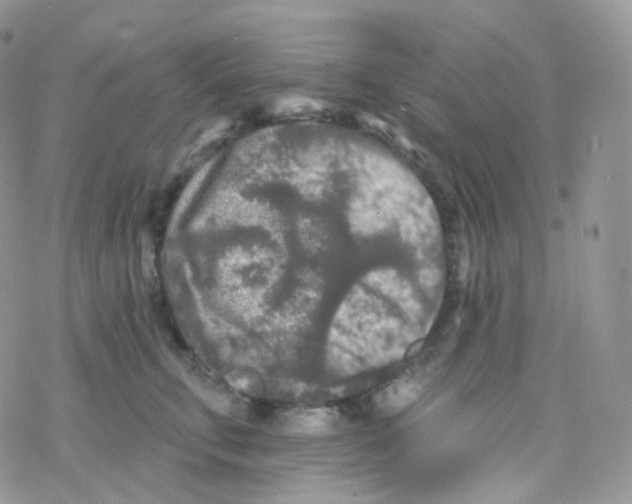 X0000078310711200611251533