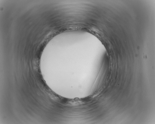 X0000078310712200611251533