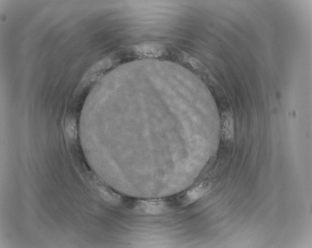 X0000078310713200611251533