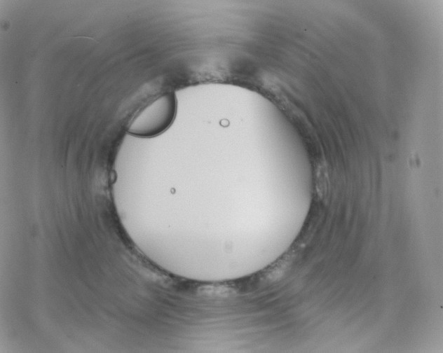 X0000078310714200611251533