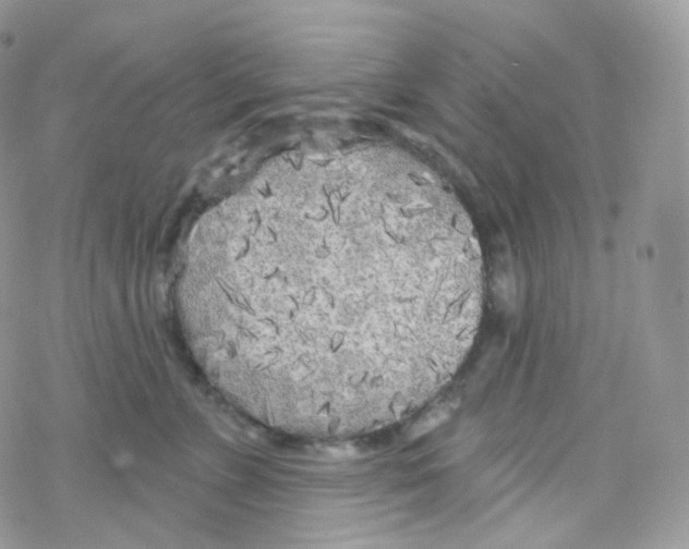 X0000078310715200611251533