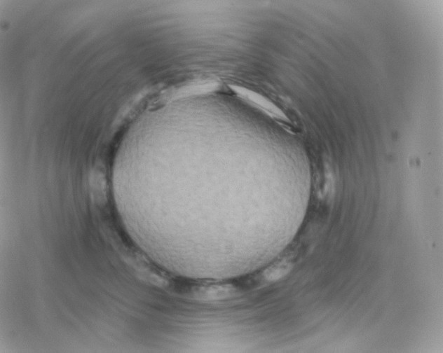 X0000078310716200611251533