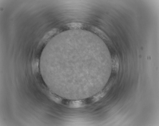 X0000078310717200611251533