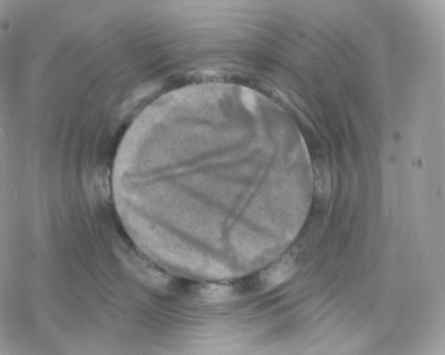 X0000078310718200611251533