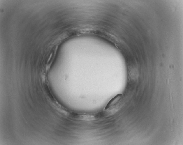 X0000078310719200611251533