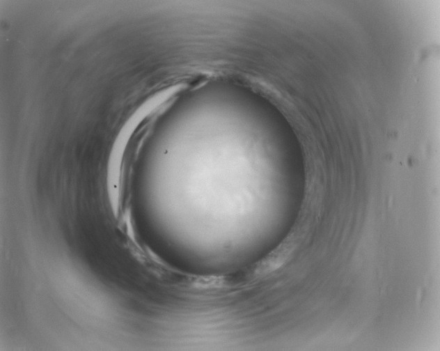 X0000078310720200611251533