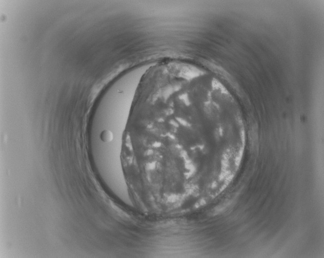 X0000078310721200611251532