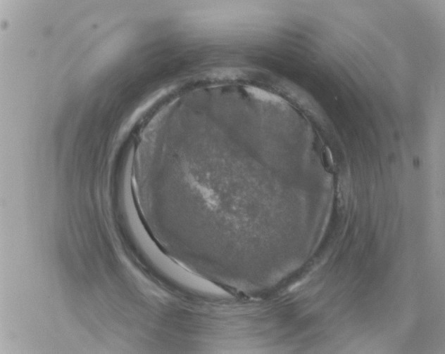 X0000078310722200611251532