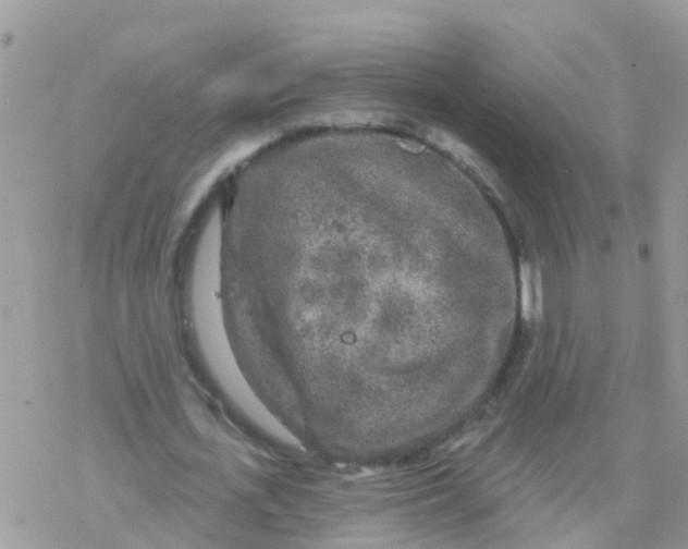 X0000078310723200611251532