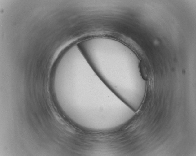 X0000078310724200611251532