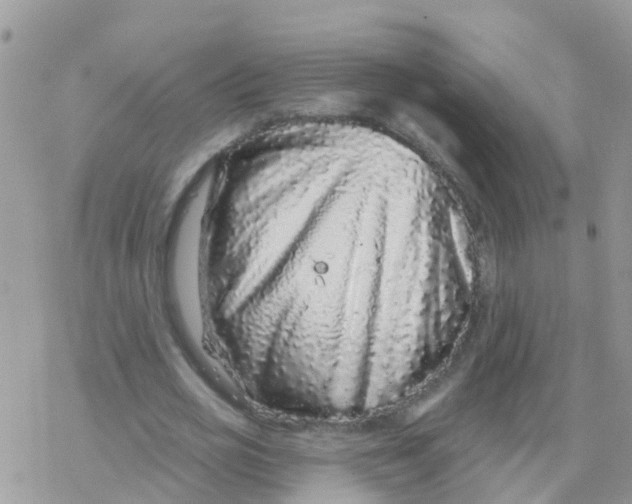 X0000078310725200611251533