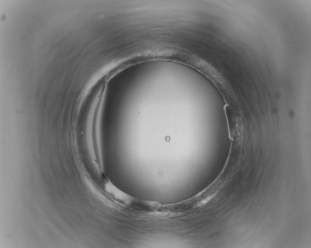 X0000078310726200611251533