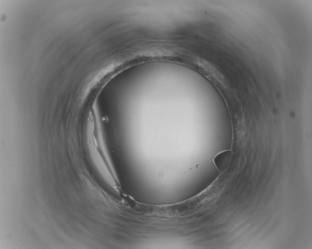 X0000078310727200611251533