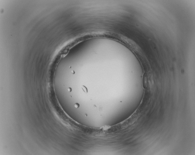 X0000078310728200611251533