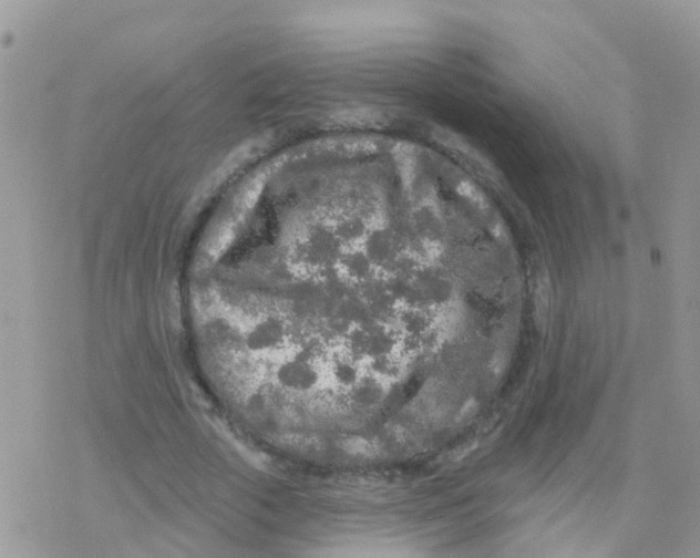 X0000078310729200611251533