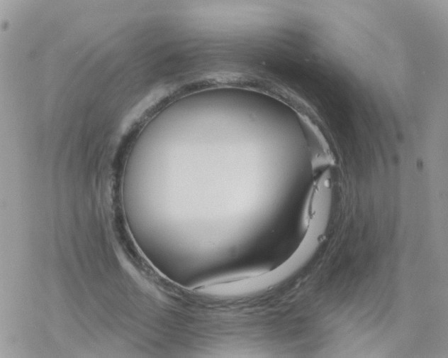 X0000078310730200611251533