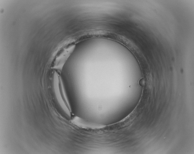 X0000078310731200611251533