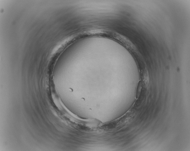 X0000078310732200611251533