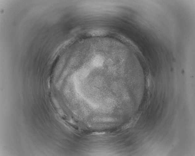 X0000078310733200611251533