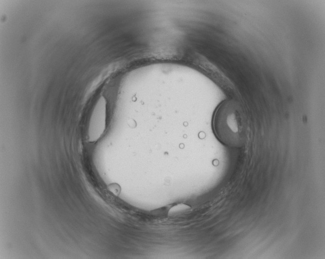 X0000078310734200611251533