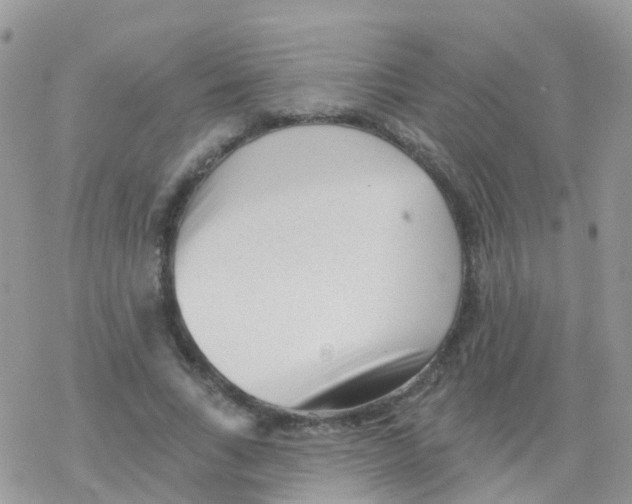 X0000078310735200611251533