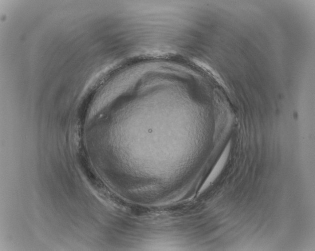 X0000078310736200611251533