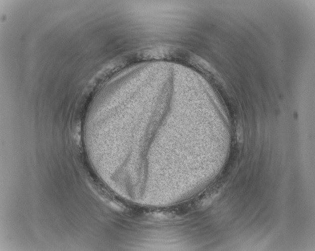 X0000078310737200611251533