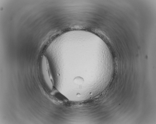 X0000078310738200611251533