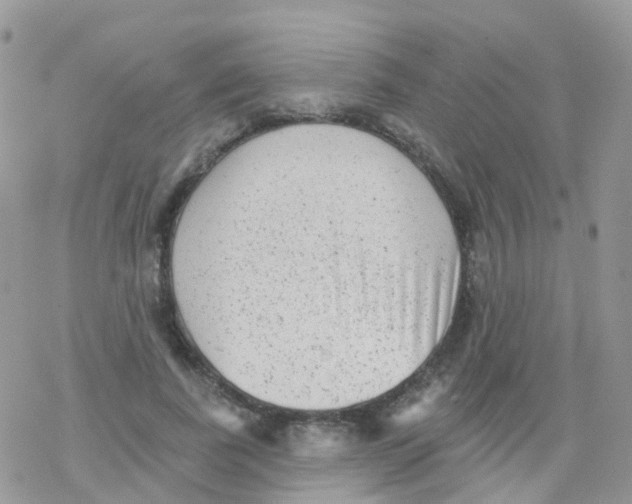 X0000078310739200611251533