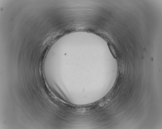 X0000078310740200611251533