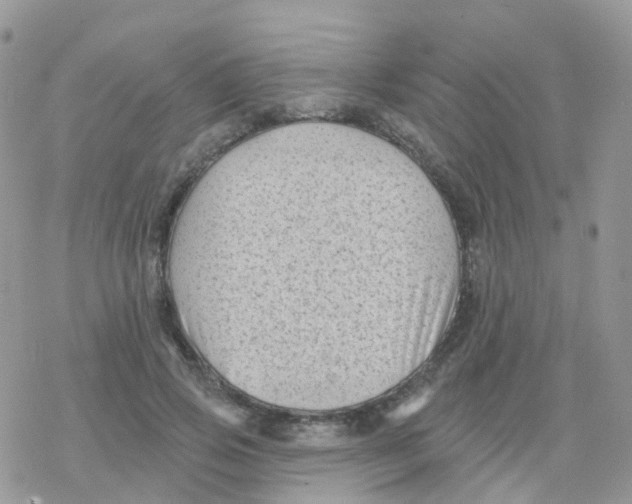 X0000078310741200611251533