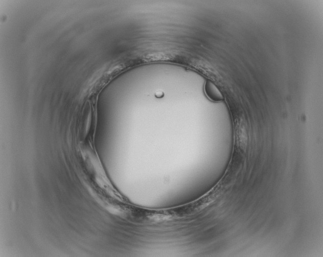 X0000078310742200611251533