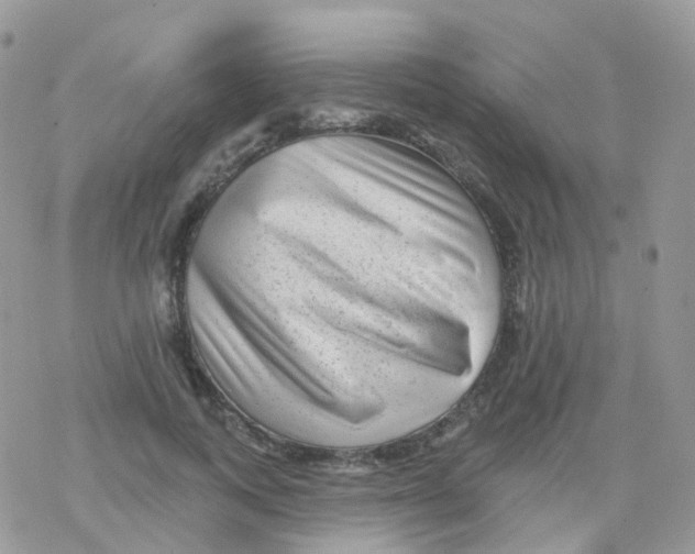 X0000078310743200611251533