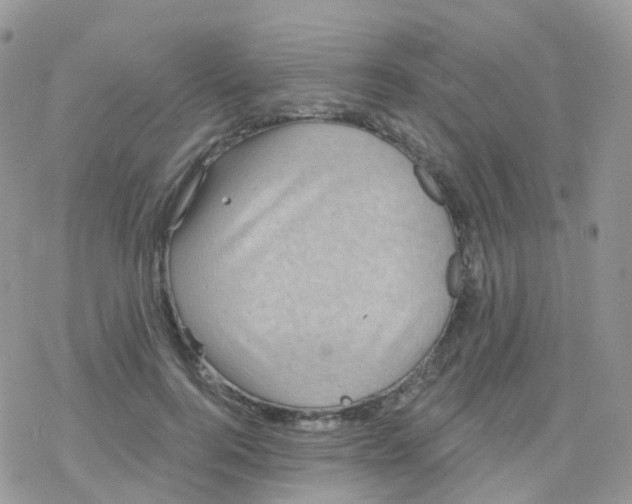 X0000078310744200611251533