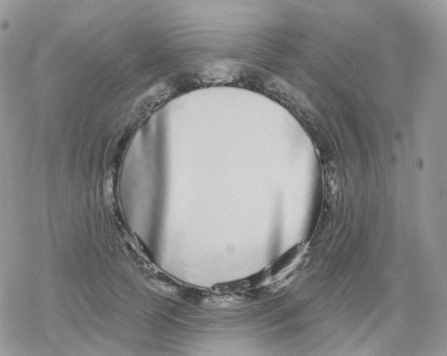 X0000078310745200611251533