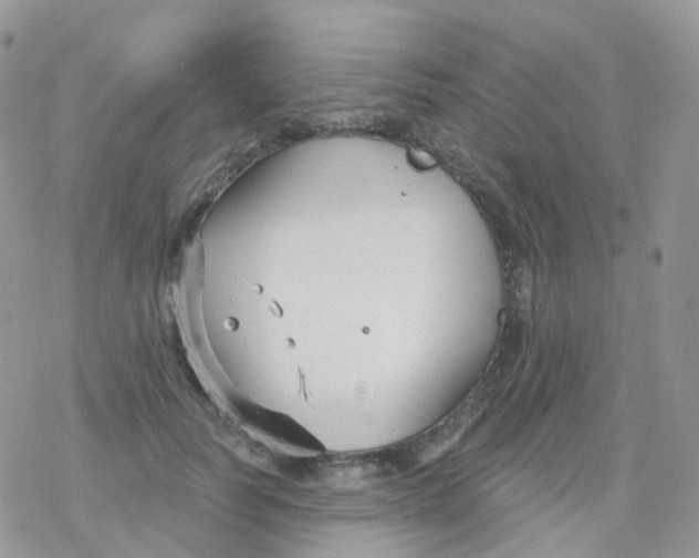 X0000078310746200611251533