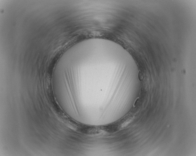 X0000078310747200611251533