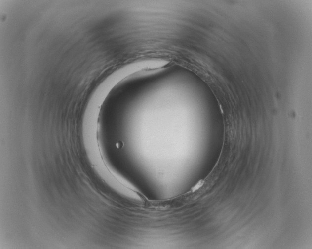 X0000078310748200611251533